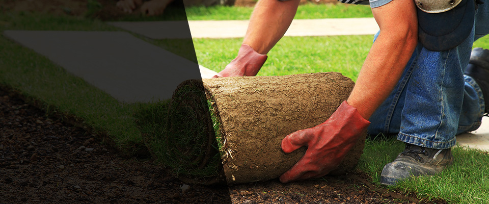 Harvey Landscapers